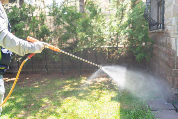 Trusted Batesville, AR Pest Control Experts